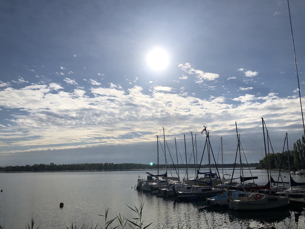 Stacks Image 1038192